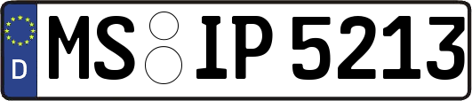 MS-IP5213