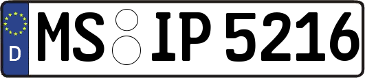 MS-IP5216