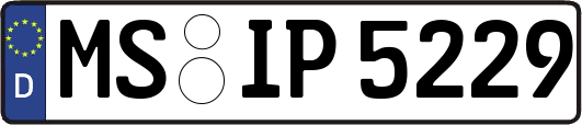 MS-IP5229