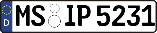 MS-IP5231