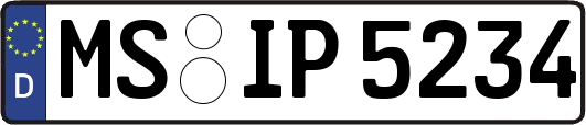 MS-IP5234