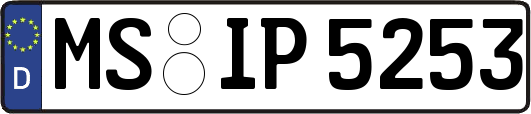 MS-IP5253
