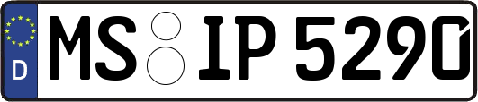 MS-IP5290