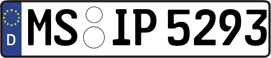 MS-IP5293