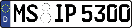 MS-IP5300