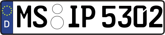 MS-IP5302