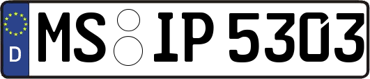 MS-IP5303