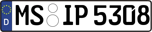 MS-IP5308