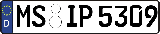MS-IP5309