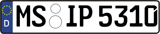 MS-IP5310