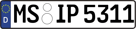 MS-IP5311