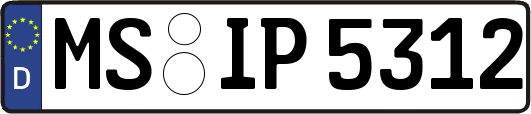 MS-IP5312