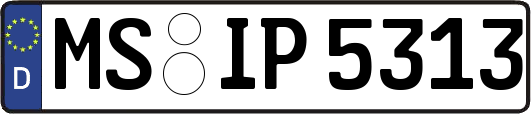 MS-IP5313