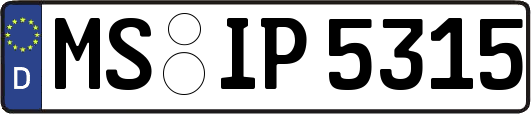 MS-IP5315