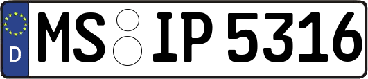MS-IP5316