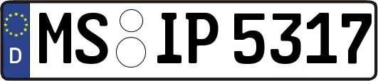 MS-IP5317