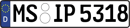 MS-IP5318