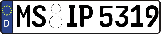 MS-IP5319