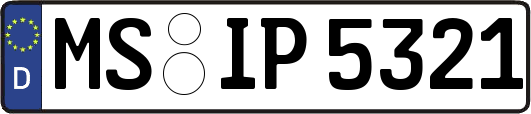 MS-IP5321