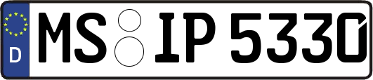 MS-IP5330