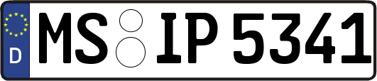 MS-IP5341