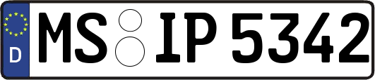 MS-IP5342