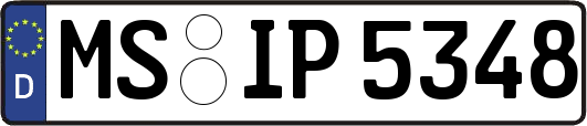 MS-IP5348