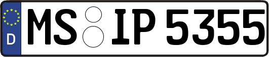 MS-IP5355