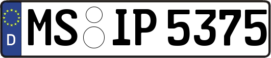MS-IP5375