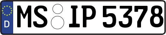 MS-IP5378