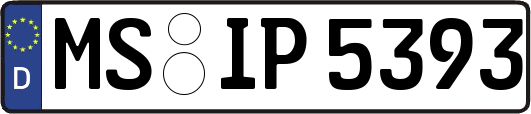 MS-IP5393