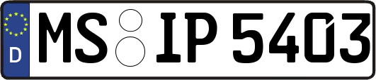 MS-IP5403