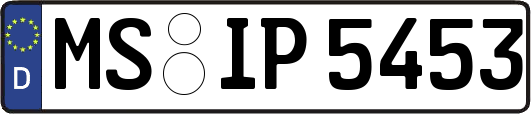 MS-IP5453