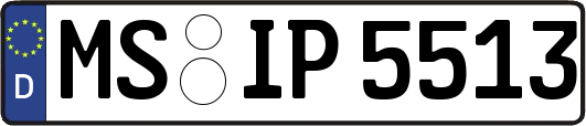 MS-IP5513
