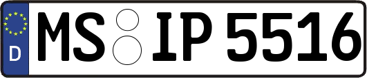 MS-IP5516