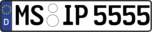 MS-IP5555