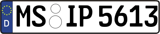 MS-IP5613