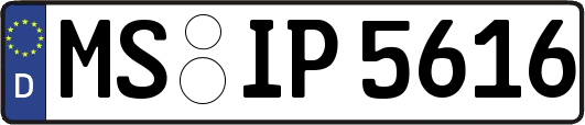 MS-IP5616