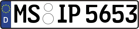 MS-IP5653