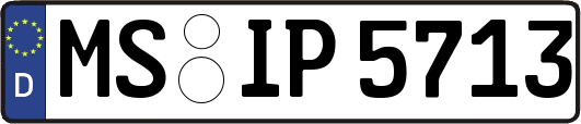 MS-IP5713