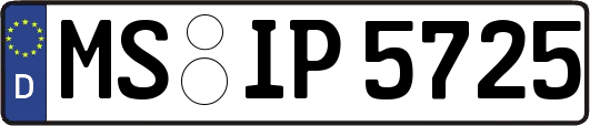 MS-IP5725