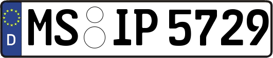MS-IP5729