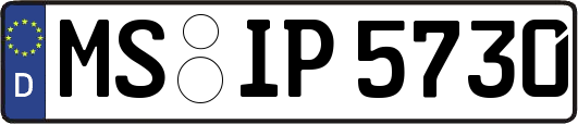 MS-IP5730