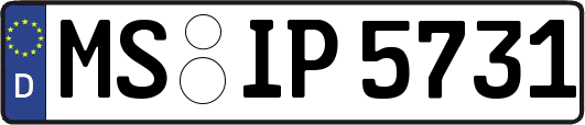 MS-IP5731