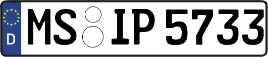 MS-IP5733