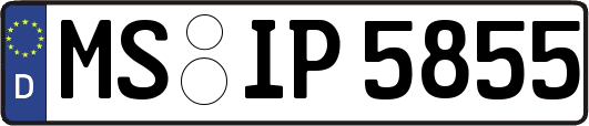 MS-IP5855