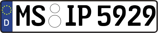 MS-IP5929