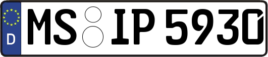 MS-IP5930
