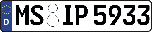 MS-IP5933