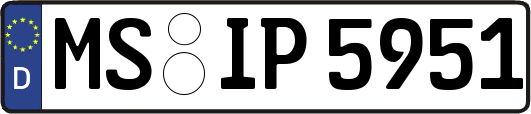 MS-IP5951